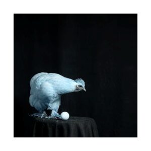 Alguses oli sõna - Teos 2