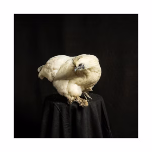 Alguses oli sõna - Teos 1