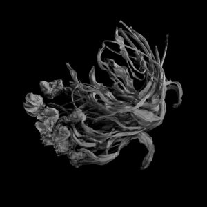 Arlekiini lillevoodi