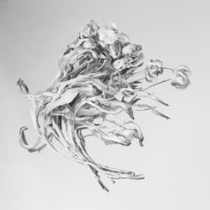 Põgenev pruut või kass ja irvik