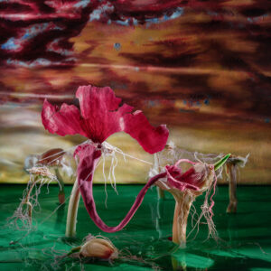 "Teisel pool" Teos 5