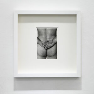 Keegi rekkas soovib anaali saada? Asukoht Tartu